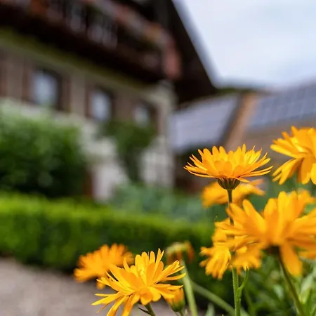 Am Doettelbach Apartment Bad Peterstal-Griesbach