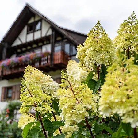 Apartment Am Doettelbach *