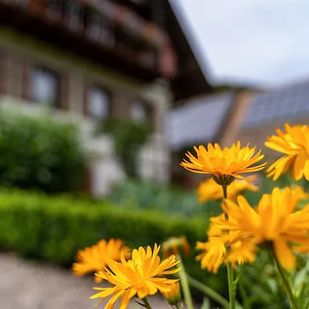 アパート Am Doettelbach *