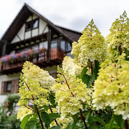 Apartamento Am Doettelbach *