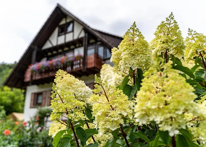 公寓 Am Doettelbach *