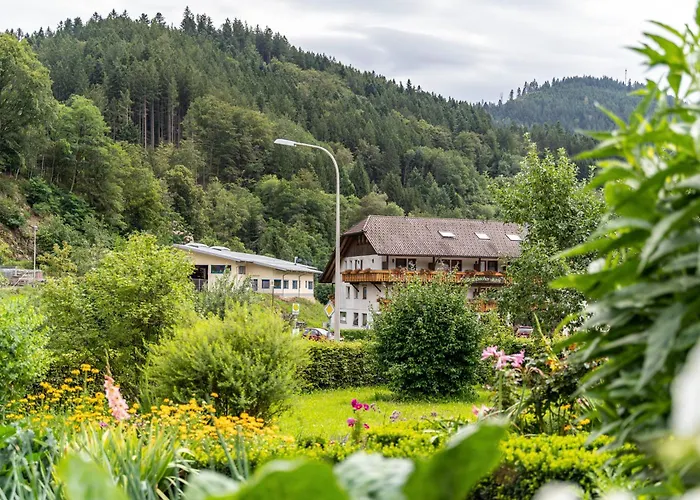 Am Doettelbach 公寓 *