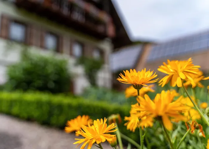 公寓 Am Doettelbach *